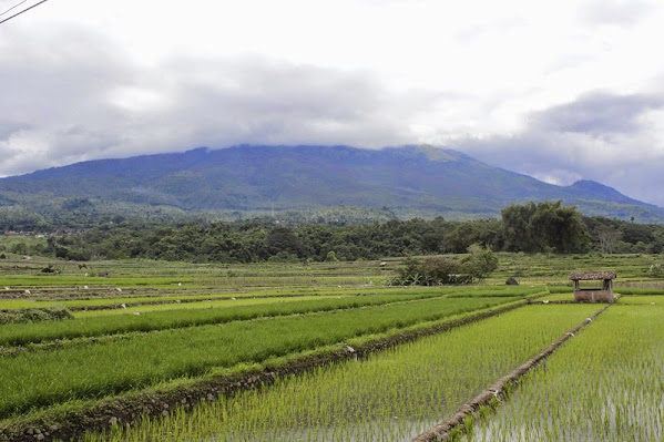 Kisah Tentang Tiga Gunung Dengan Sepeda