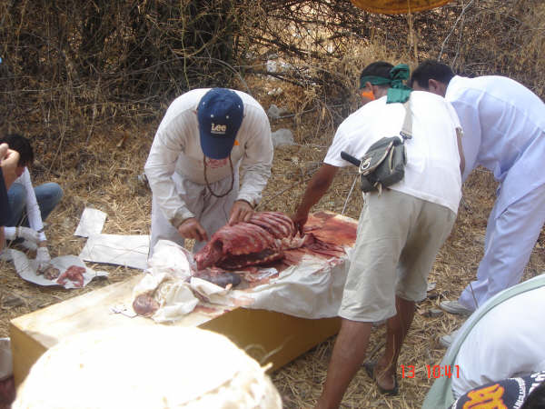 Foto Pengolahan Daging Manusia Menjadi Makanan (18+)