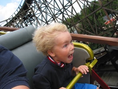 Foto-foto Lucu Saat Orang Ketakutan Naik Roller Coaster