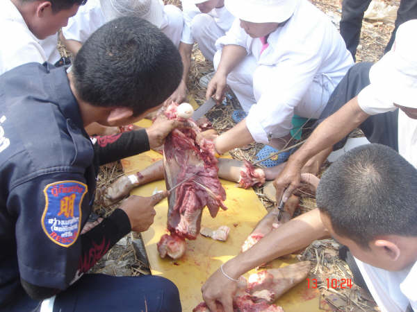 Foto Pengolahan Daging Manusia Menjadi Makanan (18+)