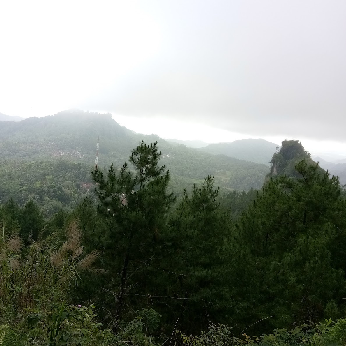 Sigendol, Puncak Khayangan di Purworejo dengan Pemandangan Yang Menakjubkan