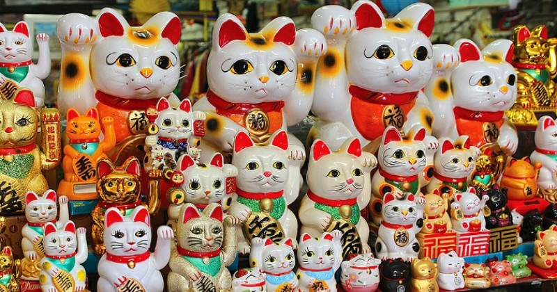 Apa Benar Lucky Cat Membawa Hoki?