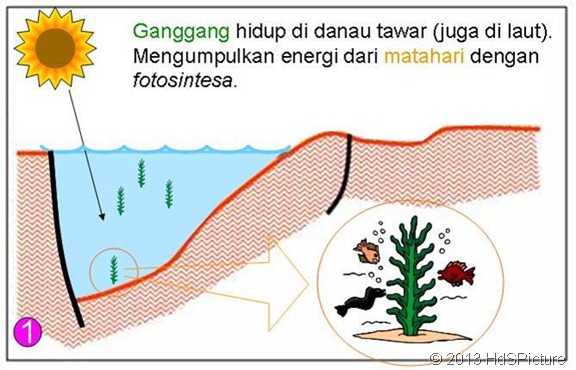 Beginilah Proses Pembentukan Minyak Bumi