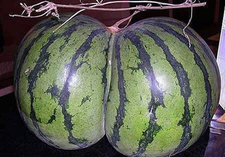 13 Bentuk Buah-Buahan Paling Unik Di Dunia &#91;Serba 13&#93;