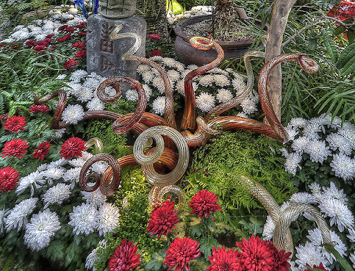 (Menakjubkan) BUKAN TANAMAN BIASA ! (Keren)