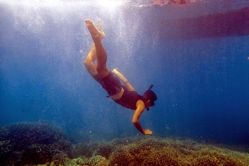 Ajakan : Snorkeling di Pulau Menjangan dan Diving di Nusa Dua, Bali | 11-14 OKT 2015