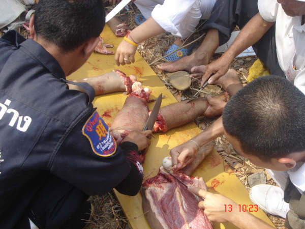 Foto Pengolahan Daging Manusia Menjadi Makanan (18+)