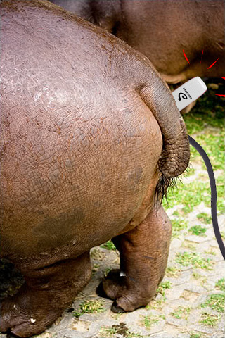 Mengatasi koneksi lelet di hutan