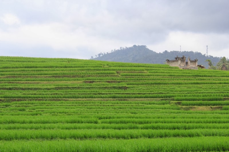 kukayuh-sepedaku-demi-rinjani