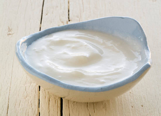 Pernah minum susu beruang dari beruangnya langsung ?