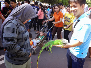 Sugar Glider Fun and Creazy, Terbentuk di Car Free Day