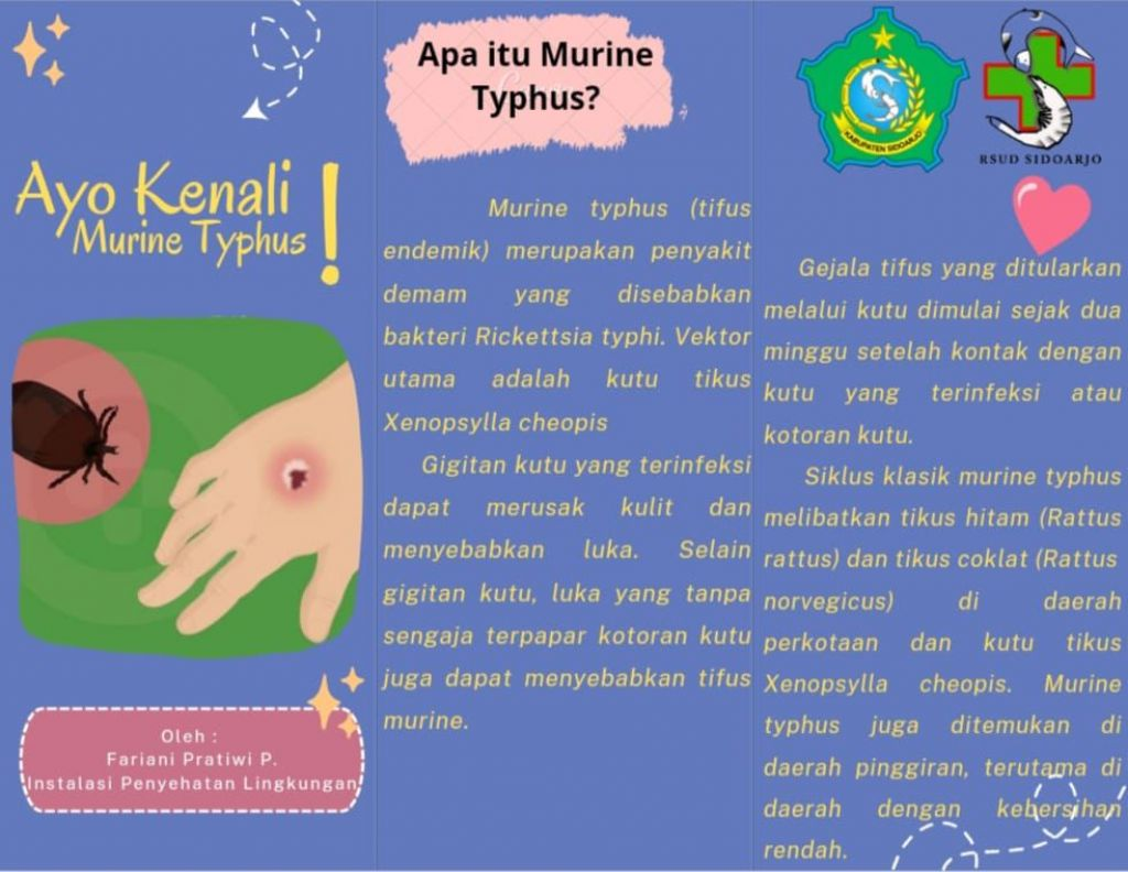 Street Feeding: Kebaikan yang Seringkali Jadi Bumerang