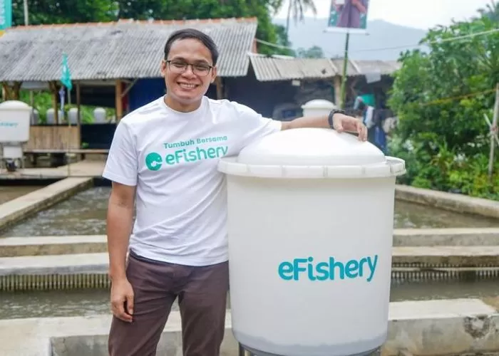Skandal eFishery dan Tantangan Integritas Ekosistem Startup Indonesia