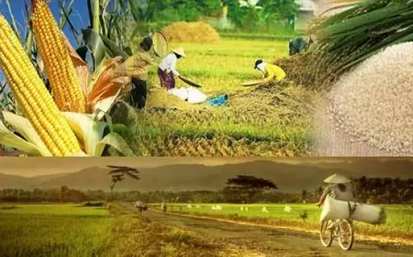 Apa itu Swasembada Pangan?