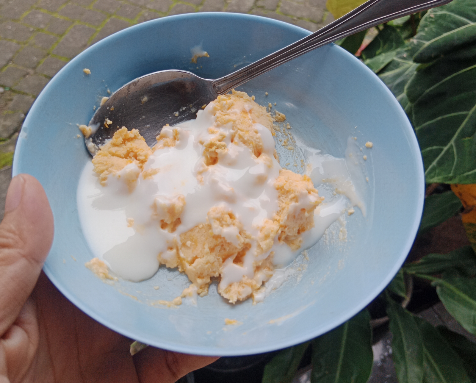 Membuat Yoghurt Sendiri
