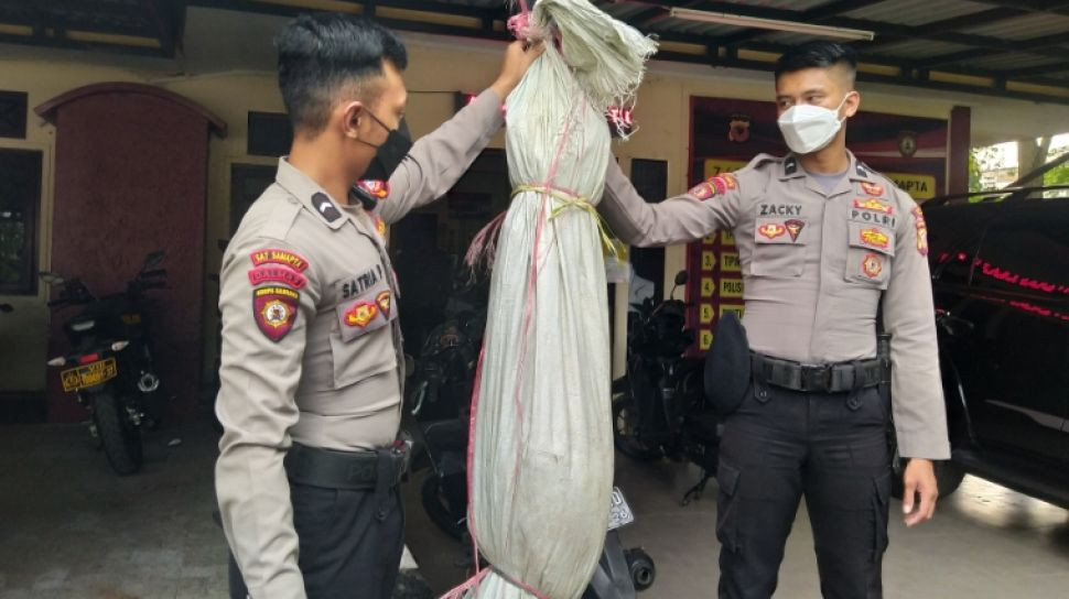 Pocong di Lembang Bandung Berkeliaran Selama Libur Lebaran 2024