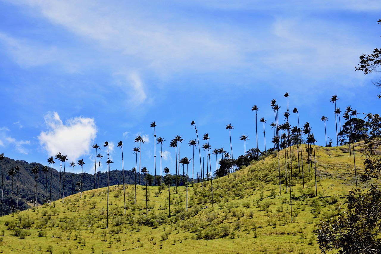 10 Destinasi Wisata Tersembunyi yg Harus Anda Kunjungi Tahun Ini