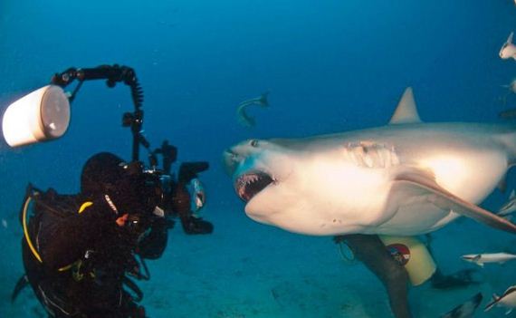 Foto Para Pecandu Adrenalin yang Bikin Merinding