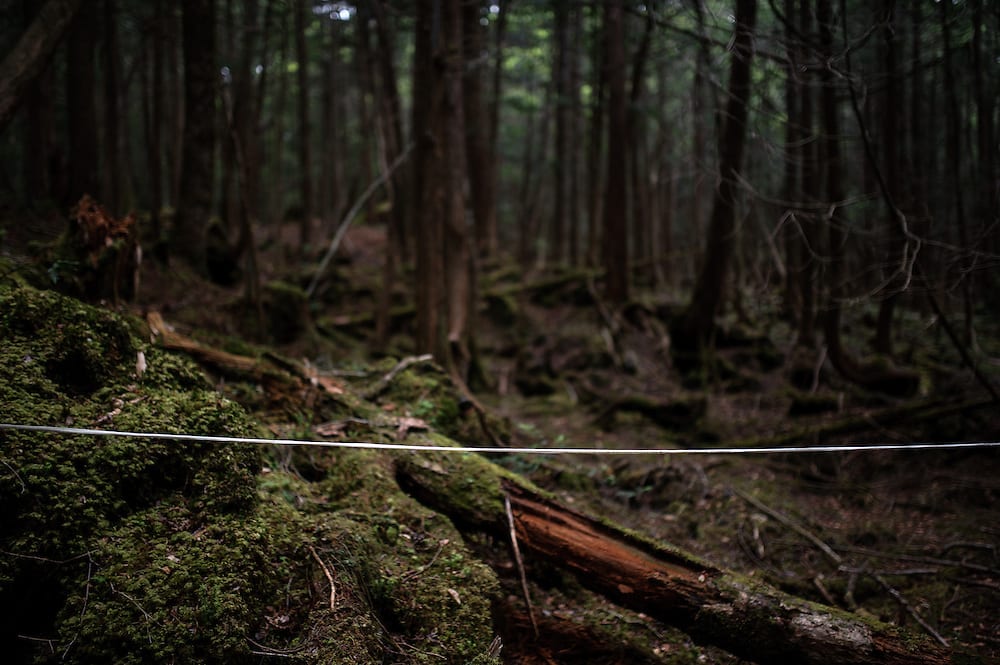 Jarang Diliput Media! 7 Fakta Tentang Hutan Bunuh Diri di Jepang, Auto Merinding Gan