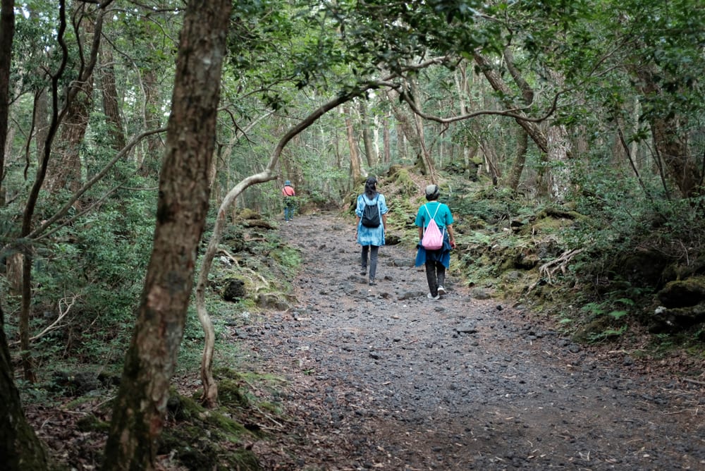 Aokigahara Hutan Bunuh Diri di Jepang