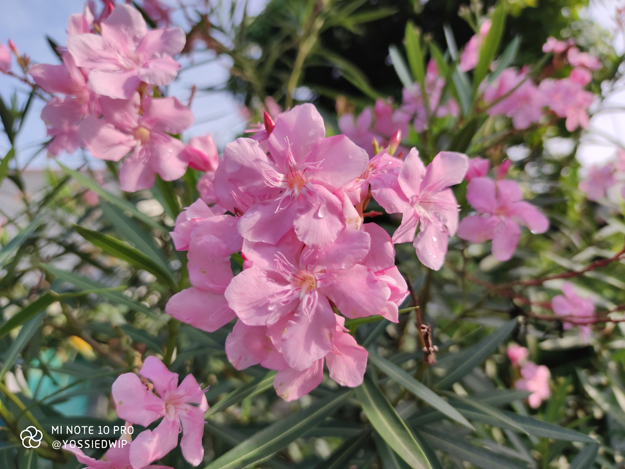 Review Xiaomi Mi Note 10 Pro: Kamera Kelas Flagship, Asyik Untuk Foto dan Video