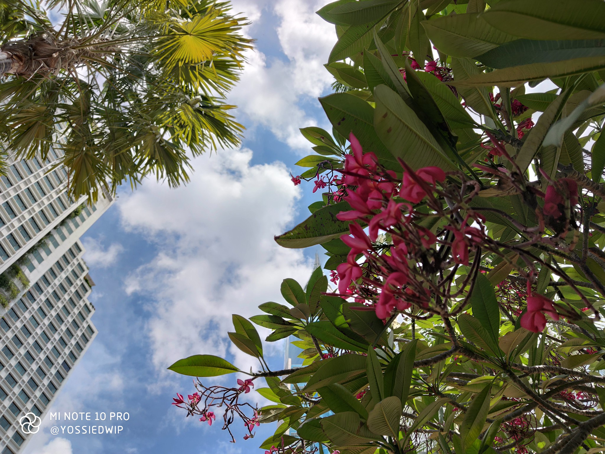 Review Xiaomi Mi Note 10 Pro: Kamera Kelas Flagship, Asyik Untuk Foto dan Video