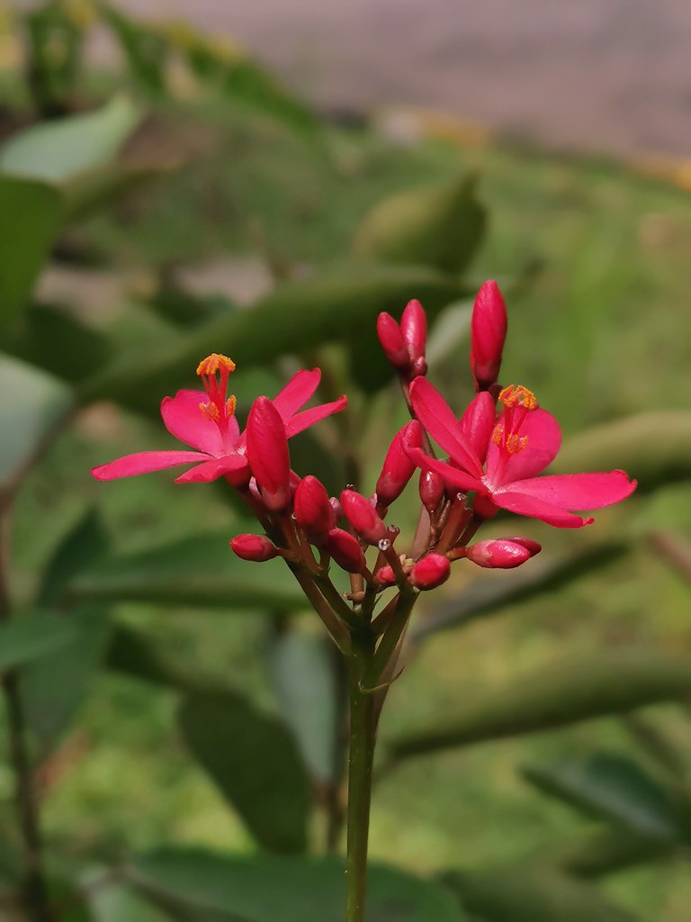 Review Kamera Huawei P30: Buah Kerjasama Huawei & Leica untuk Mobile Photography