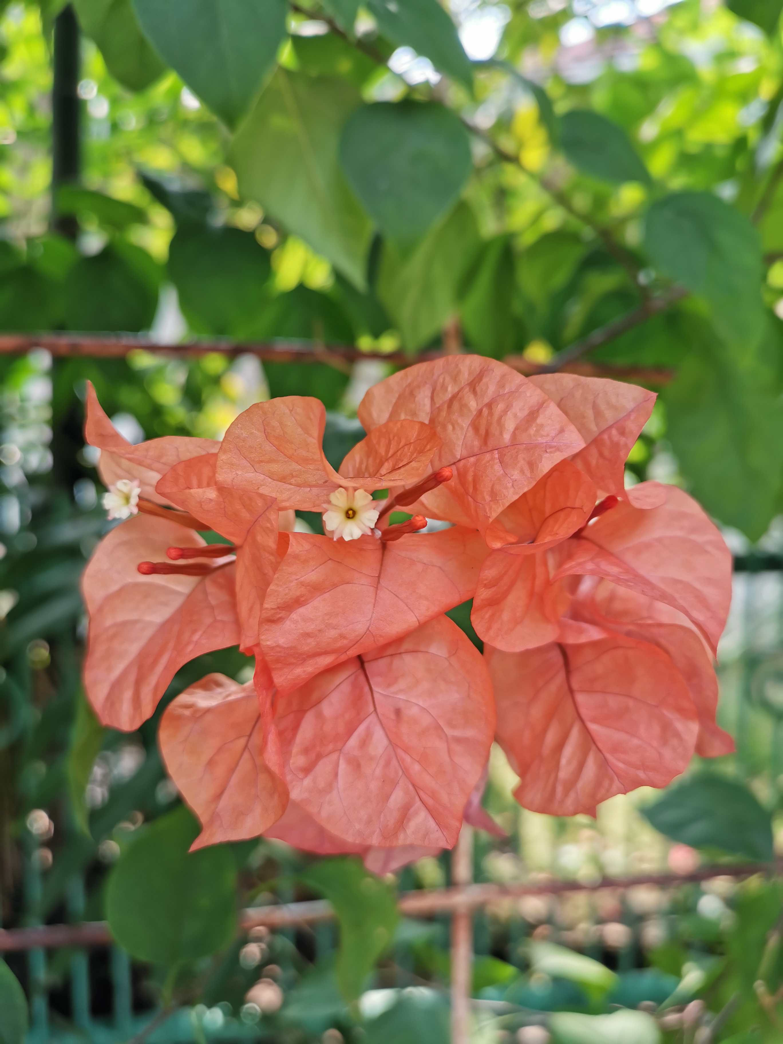 Review Kamera Huawei P30: Buah Kerjasama Huawei & Leica untuk Mobile Photography