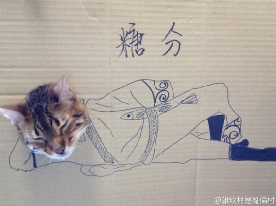 Cosplay Cat