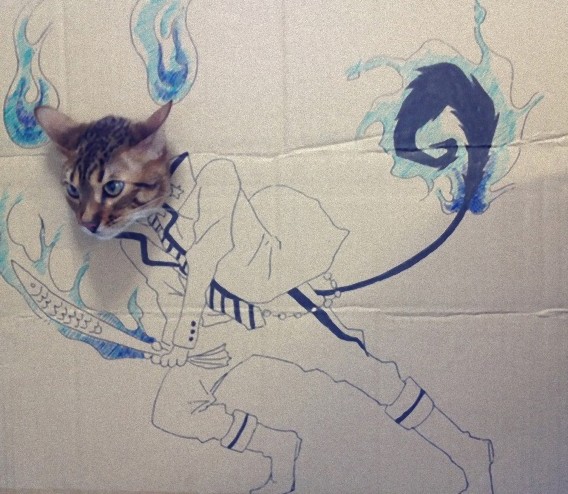 Cosplay Cat