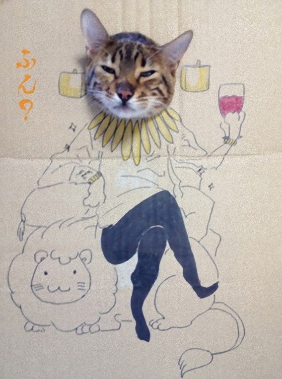 Cosplay Cat