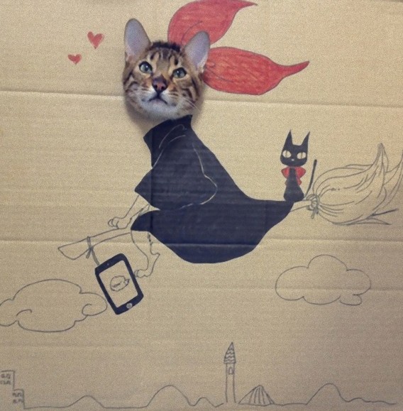 Cosplay Cat