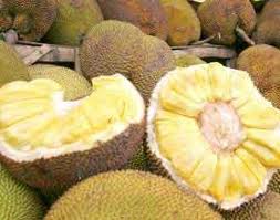 5 Makanan Yang Sulit Dicerna