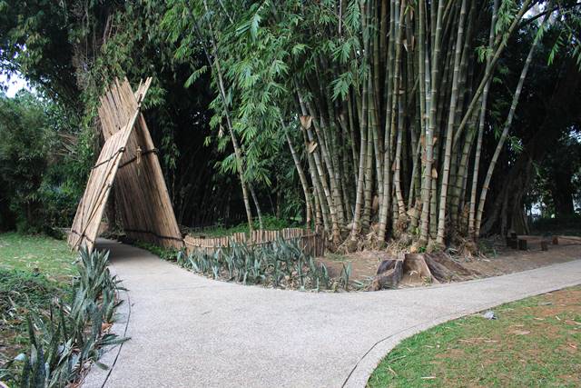 The Bogor Botanical Garden! Salah Satu Kebun Raya Tertua di Asia Tenggara!