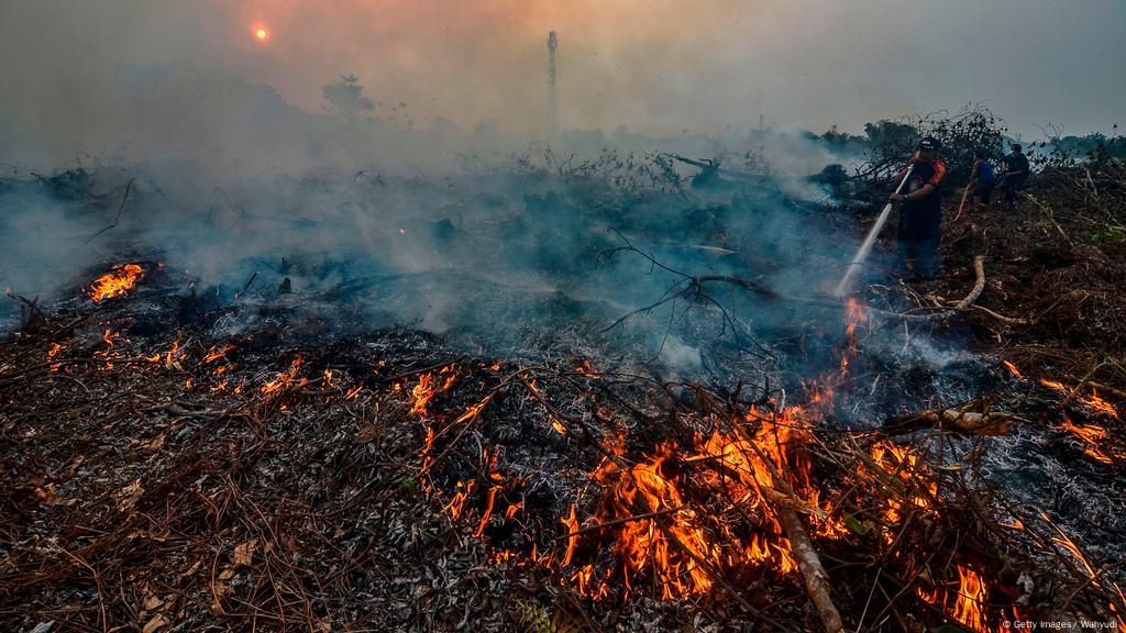 &#91;Coc Reg. KalTim&#93; Penyebab Kebakaran Hutan KalTim, Faktor Alam atau Ulah Manusia?