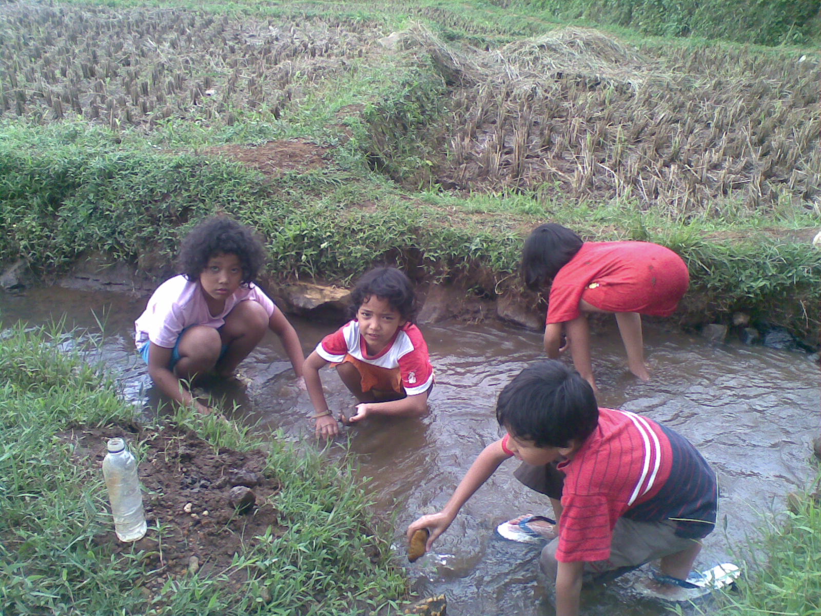 Bermain dengan hewan unik anak-anak tahun 90'an (NOSTALGIA)