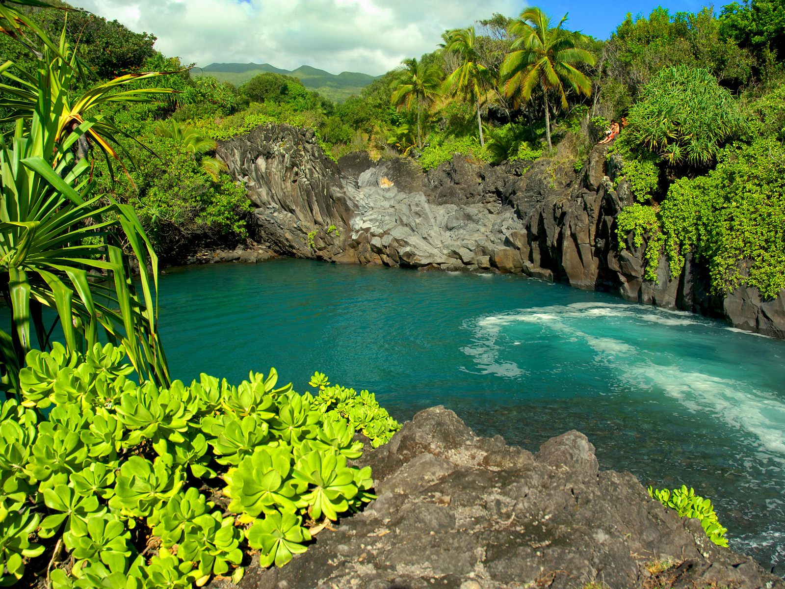 Eksotisnya Pulau Maui - Hawaii