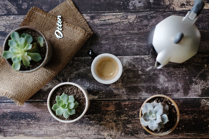 5 JENIS PENIKMAT KOPI DI INDONESIA