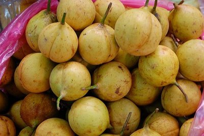 Kisah Buah Pala Si Rempah-Rempah Berdarah dari Timur Indonesia