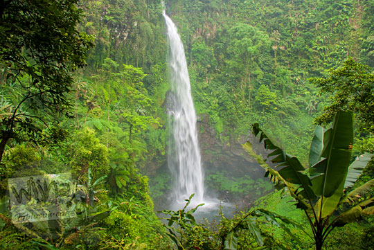 &#91;CoC Regional: Lokasi Wisata&#93; Bersakit-Sakit Ria ke Curug Cipendok