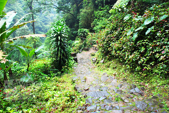 &#91;CoC Regional: Lokasi Wisata&#93; Bersakit-Sakit Ria ke Curug Cipendok