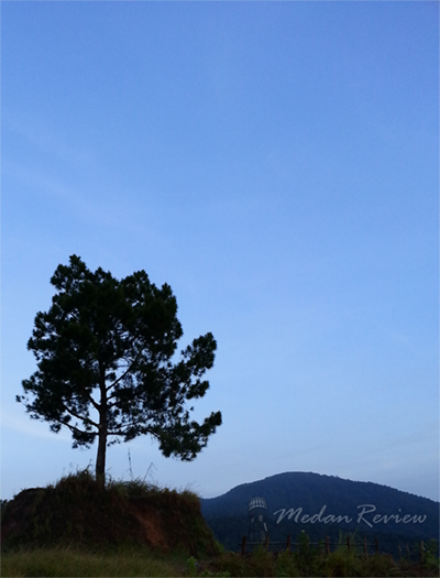 Pesona Danau Toba dari Taman Simalem Resort