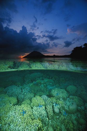 Taman Nasional Indonesia Paling Menantang 