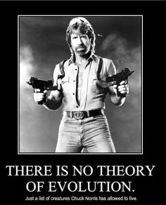 Chuck Norris, The Living Legend
