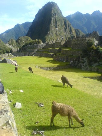 Machu Picchu, Reruntuhan Kota Inca Yang Hilang