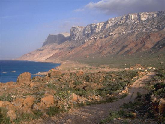 Pulau Socotra - pulau terunik di Bumi
