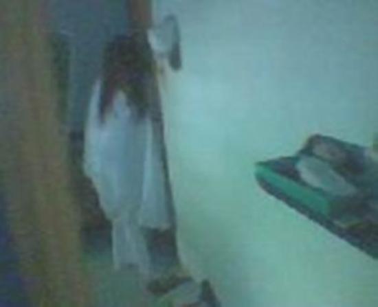 thread-khusus-burung-hantu-owl-kaskus---part-5