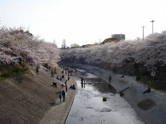 &#91;SHARE&#93; Catatan dari Nagoya : Sampah ...