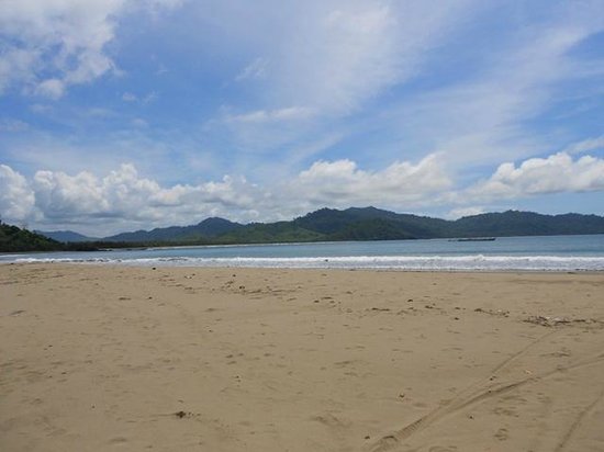 Keindahan Pantai-pantai di Ujung Timur Pulau Jawa