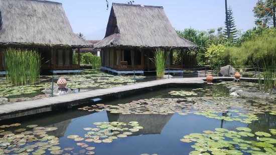 8 Hotel di Indonesia ini Tak Kalah Unik dan keren dari Hotel di luar negri lohh